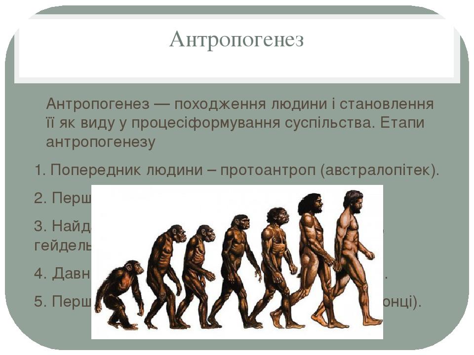 Укажите этапы антропогенеза для каждого из рисунков