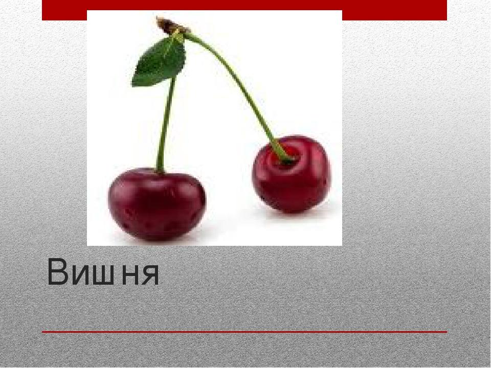 Вишня