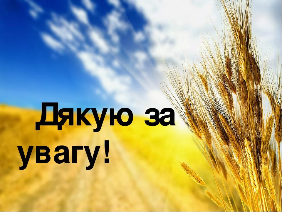 Дзякуй за увагу картинки