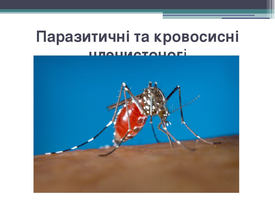 Паразитичні та кровосисні членистоногі