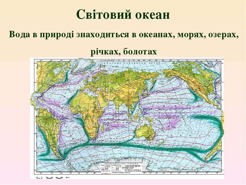 Какое из океанических течений является теплым