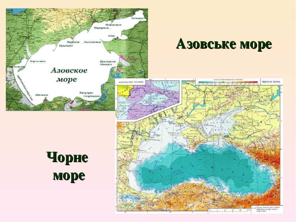 Чем отличается азовское от черного. Азовское море какие страны омывает. Карта побережья Азовского моря с городами и поселками для отдыха. Чем отличается Азовское море от черного моря. В чем отличие Азовского моря от черного.