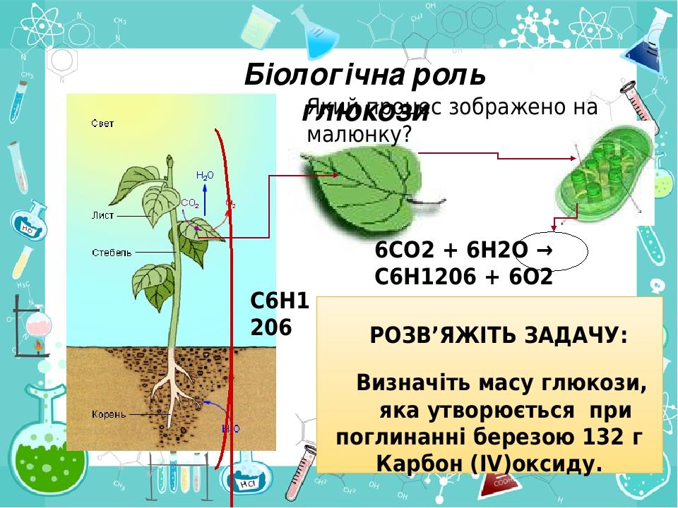 Який процес зображено на малюнку? 6СО2 + 6Н2О → C6H1206 + 6О2 C6H1206 РОЗВ’ЯЖІТЬ ЗАДАЧУ: Визначіть масу глюкози, яка утворюється при поглинанні бер...
