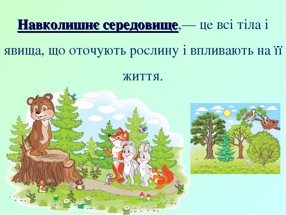 Зустріч 34. Які умови необхідні для життя рослин?