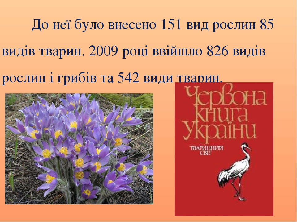 Зустріч 50. Як охороняти зникаючі рослини?