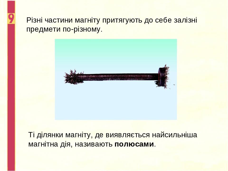 Різні частини магніту притягують до себе залізні предмети по-різному. Ті ділянки магніту, де виявляється найсильніша магнітна дія, називають полюсами.