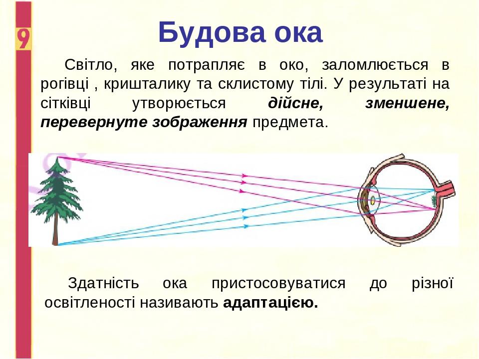 Гбу рцои и око