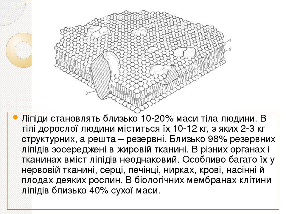 Ліпіди становлять близько 10-20% маси тіла людини. В тілі дорослої людини міститься їх 10-12 кг, з яких 2-3 кг структурних, а решта – резервні. Бли...