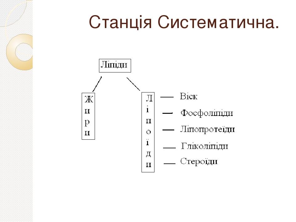 Станція Систематична.