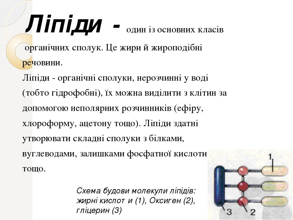 Ліпіди - один із основних класів органічних сполук. Це жири й жироподібні речовини. Ліпіди - органічні сполуки, нерозчинні у воді (тобто гідрофобні...