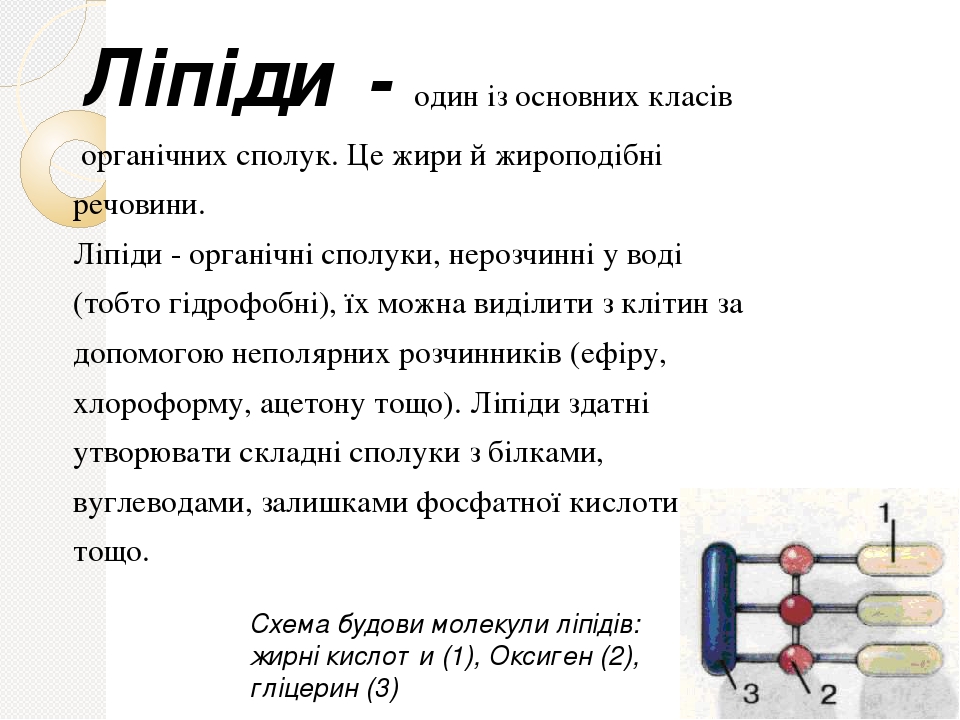 Презентація "Ліпіди, їх будова, властивості, значення"