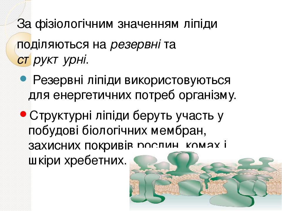 За фізіологічним значенням ліпіди поділяються на резервні та структурні. Резервні ліпіди використовуються для енергетичних потреб організму. Структ...