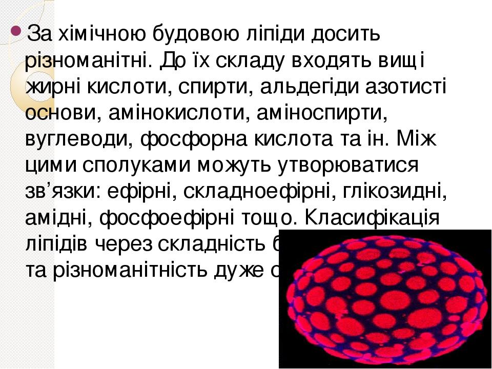 За хімічною будовою ліпіди досить різноманітні. До їх складу входять вищі жирні кислоти, спирти, альдегіди азотисті основи, амінокислоти, аміноспир...