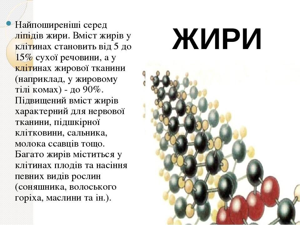 Найпоширеніші серед ліпідів жири. Вміст жирів у клітинах становить від 5 до 15% сухої речовини, а у клітинах жирової тканини (наприклад, у жировому...