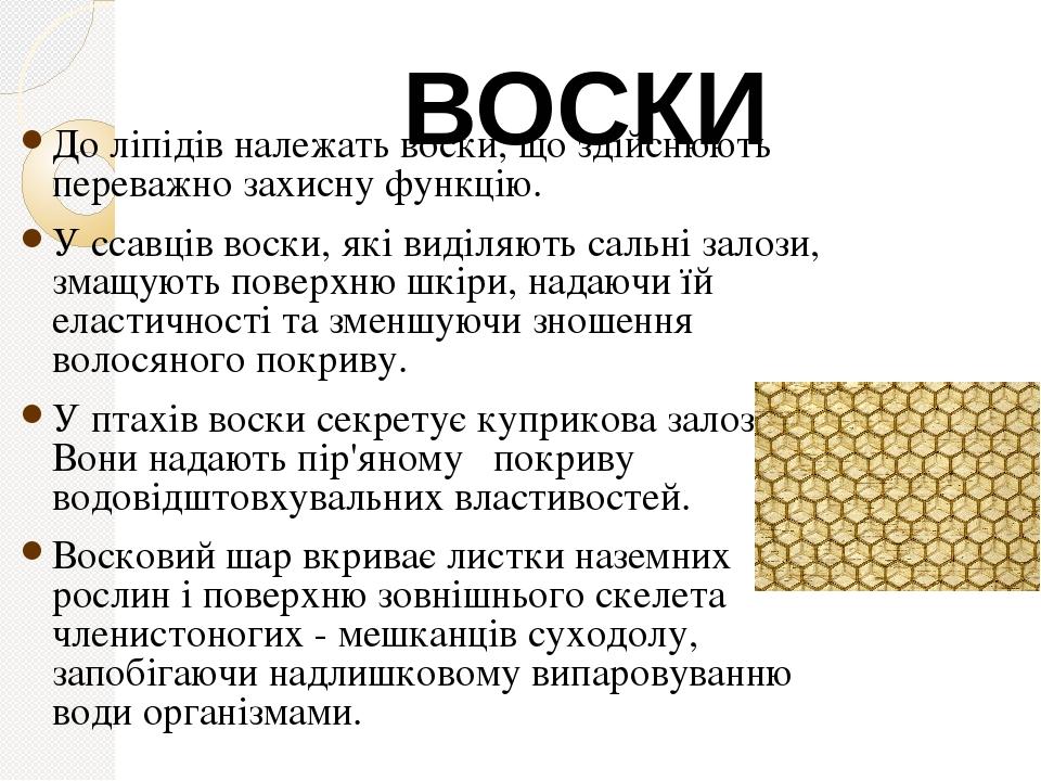 До ліпідів належать воски, що здійснюють переважно захисну функцію. У ссавців воски, які виділяють сальні залози, змащують поверхню шкіри, надаючи ...