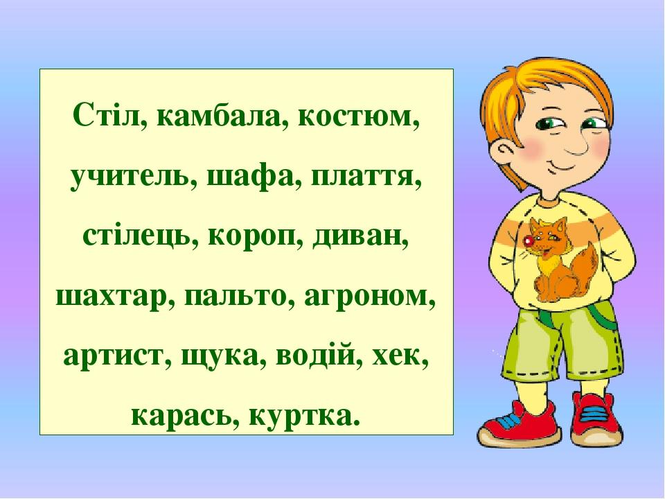 Стіл, камбала, костюм, учитель, шафа, плаття, стілець, короп, диван, шахтар, пальто, агроном, артист, щука, водій, хек, карась, куртка.