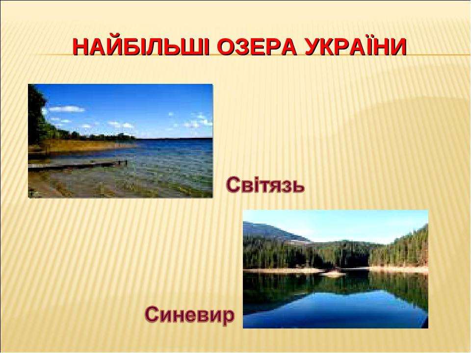 НАЙБІЛЬШІ ОЗЕРА УКРАЇНИ
