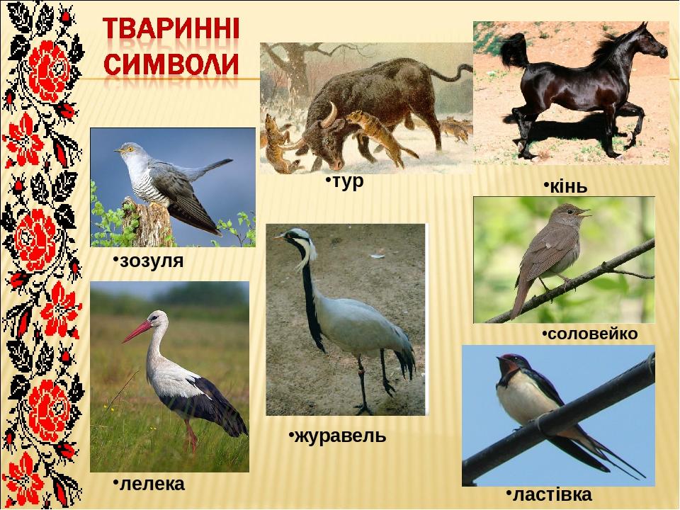 тур кінь зозуля лелека журавель соловейко ластівка