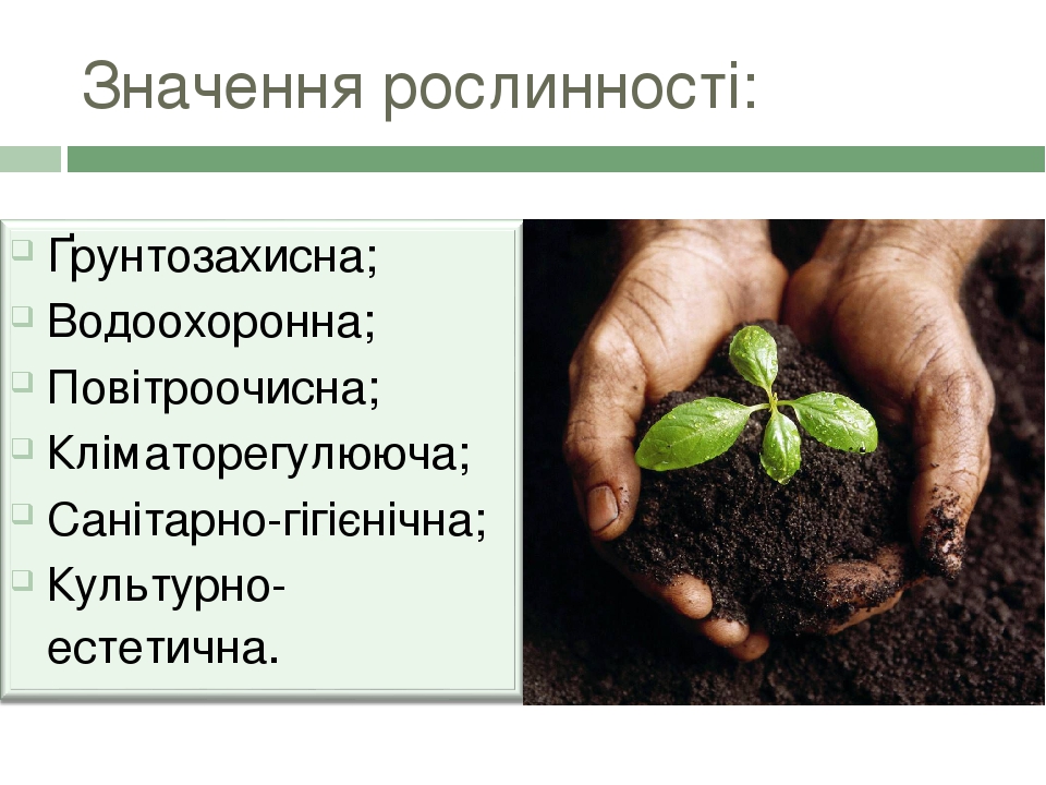 Значення. ♂ значення. Презентація 6 кл. Значення рослин для існування життя на планеті земля. Значення рослин для життя на Планетi земля та дюдини. Біологія, рослинність це.