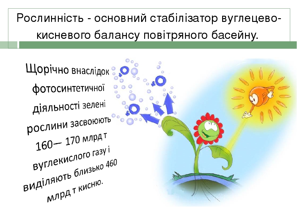Рослинність - основний стабілізатор вуглецево- кисневого балансу повітряного басейну.
