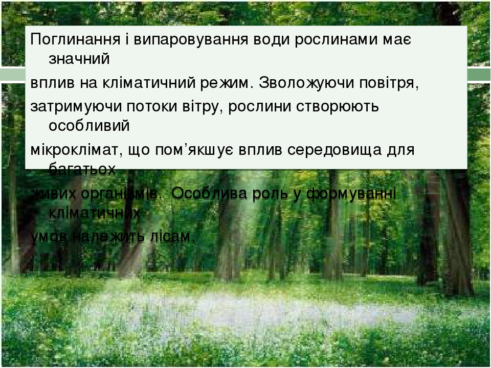 Поглинання і випаровування води рослинами має значний вплив на кліматичний режим. Зволожуючи повітря, затримуючи потоки вітру, рослини створюють ос...