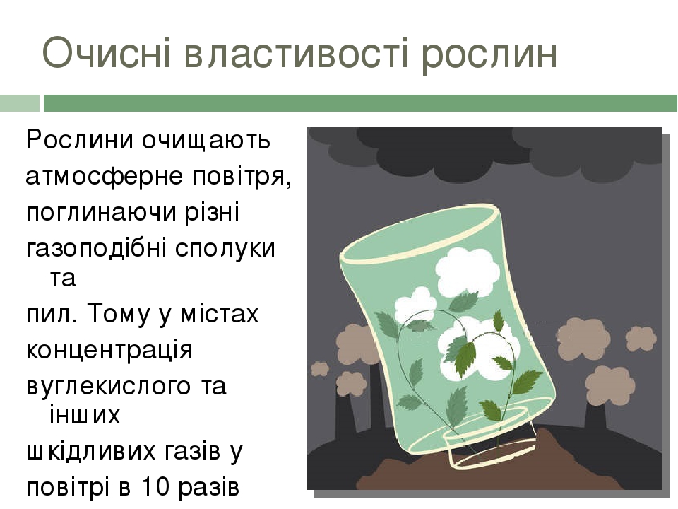 Рослини очищають атмосферне повітря, поглинаючи різні газоподібні сполуки та пил. Тому у містах концентрація вуглекислого та інших шкідливих газів ...