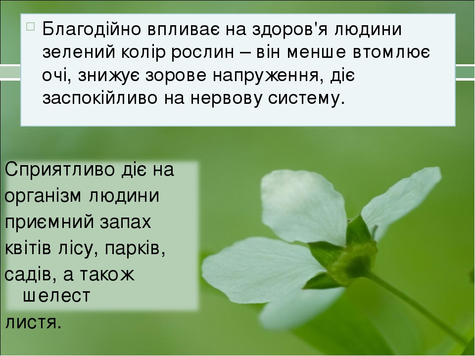 Благодійно впливає на здоров'я людини зелений колір рослин – він менше втомлює очі, знижує зорове напруження, діє заспокійливо на нервову систему.
