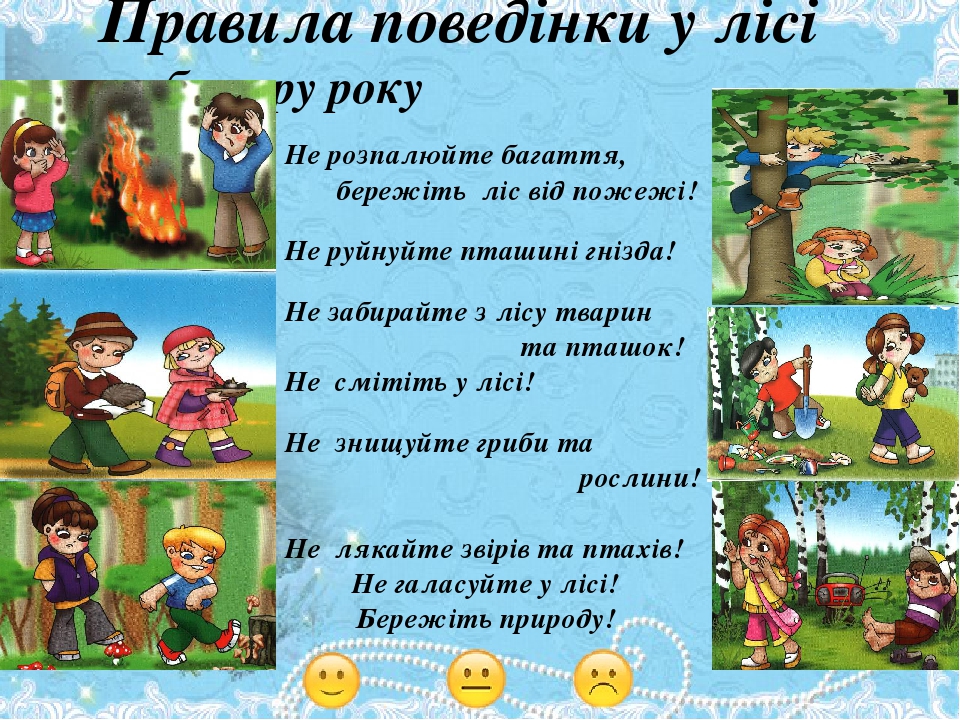 Презентація до уроку з природознавства для учнів 2 класу на тему ...