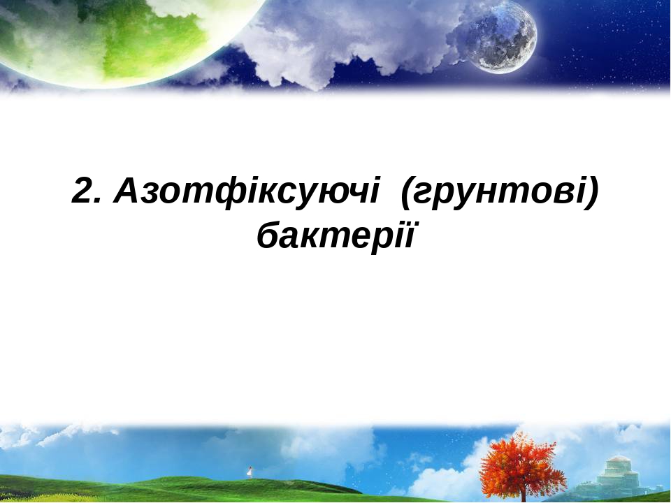 2. Азотфіксуючі (грунтові) бактерії