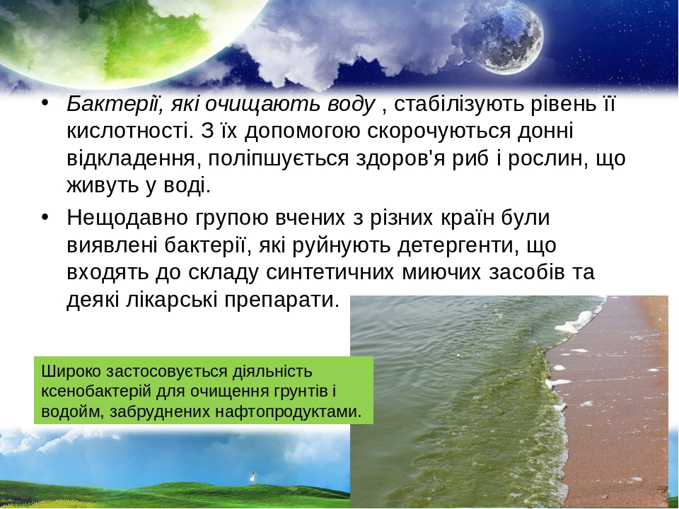 Бактерії, які очищають воду , стабілізують рівень її кислотності. З їх допомогою скорочуються донні відкладення, поліпшується здоров'я риб і рослин...