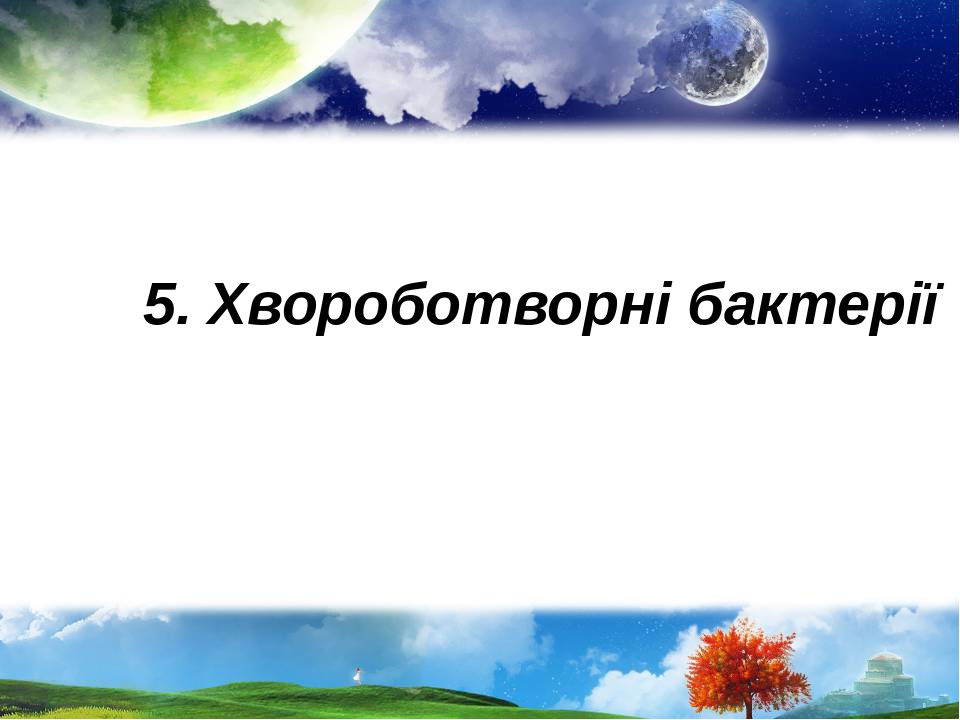 5. Хвороботворні бактерії