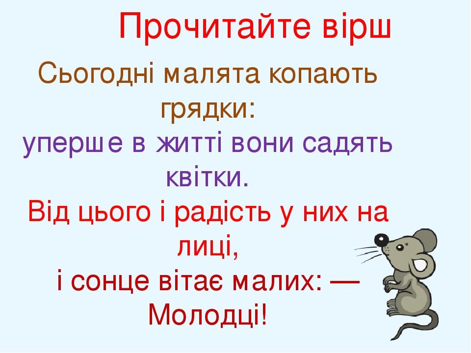 Прочитайте вірш Сьогодні малята копають грядки: уперше в житті вони садять квітки. Від цього і радість у них на лиці, і сонце вітає малих: — Молодці!