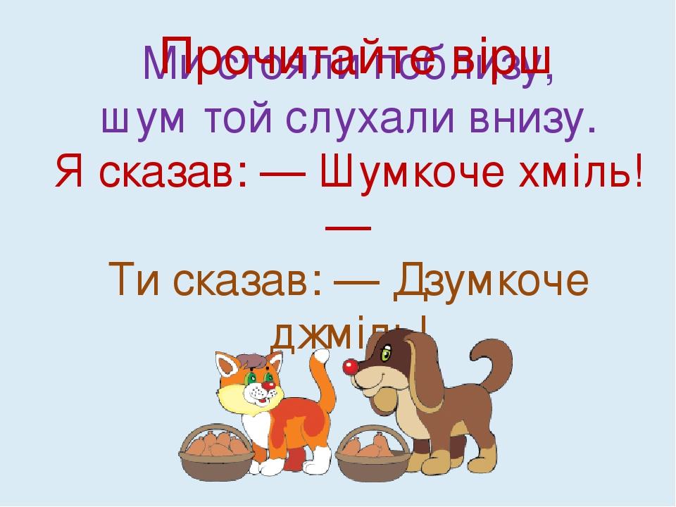 Ми стояли поблизу, шум той слухали внизу. Я сказав: — Шумкоче хміль! — Ти сказав: — Дзумкоче джміль! Прочитайте вірш