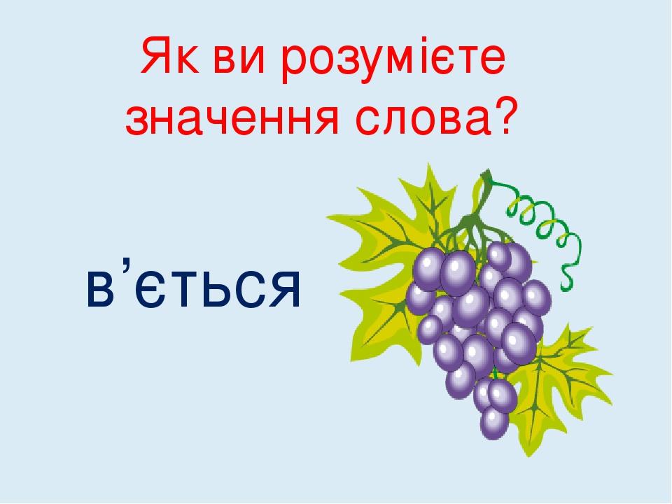 Як ви розумієте значення слова? в’ється