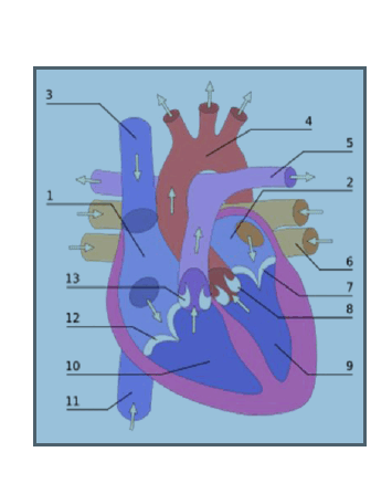 018-355x447.png