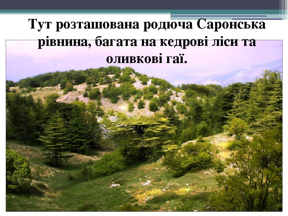 Тут розташована родюча Саронська рівнина, багата на кедрові ліси та оливкові гаї.