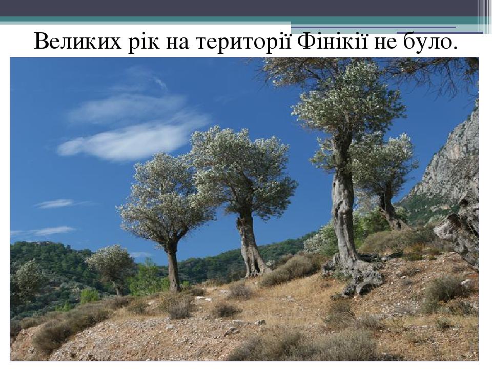 Великих рік на території Фінікії не було.