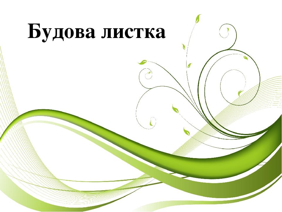 Будова листка