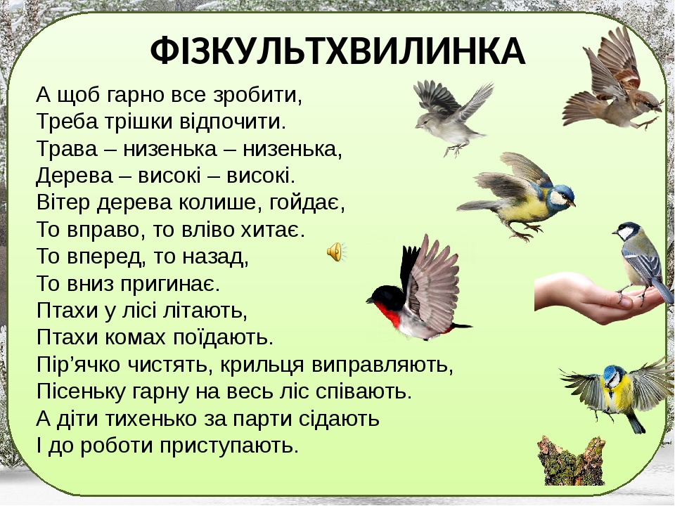 Інтегрований урок "Птахи - політ, музика й краса ...