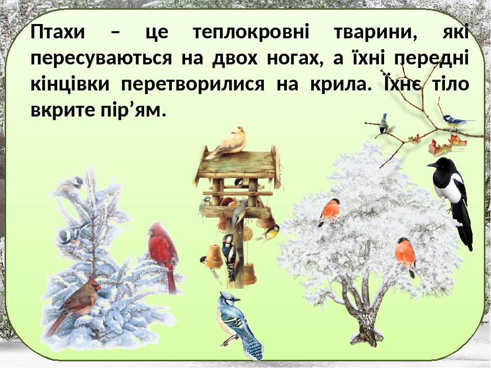 Інтегрований урок "Птахи - політ, музика й краса ...